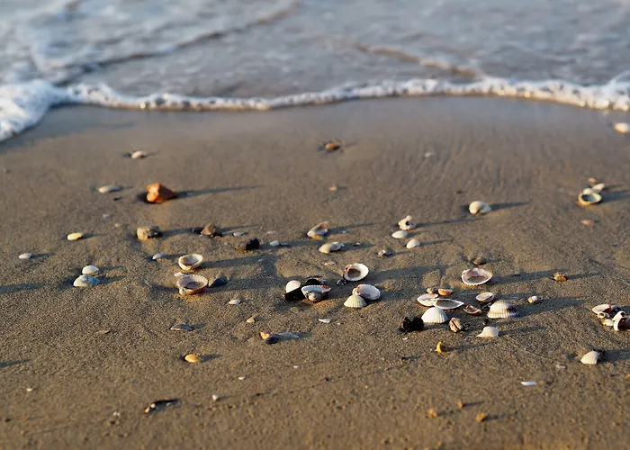 Appartement Comfy With Shared Pool *